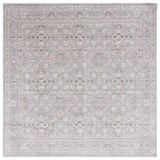 Safavieh Princeton 906 Power Loomed 90% Space Dyed Polyester/10% Viscose Transitional Rug PRN906W-9