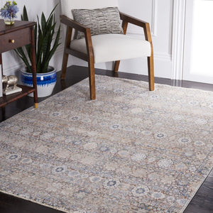 Safavieh Princeton 963 Power Loomed 90% Space Dyed Polyester/10% Viscose Transitional Rug PRN963A-9