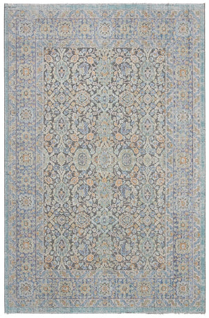 Safavieh V13 V1 Rug