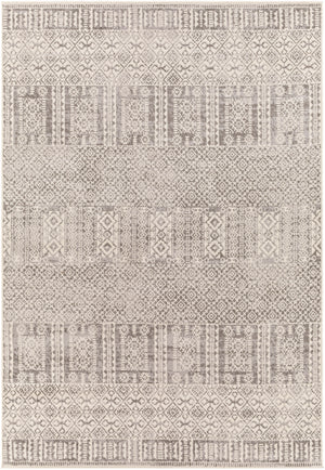 Pisa PSS-2344 Global Polypropylene Rug PSS2344-81012  100% Polypropylene 9'2" x 12'