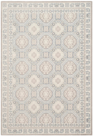 Safavieh Patina PTN320 Power Loomed Rug