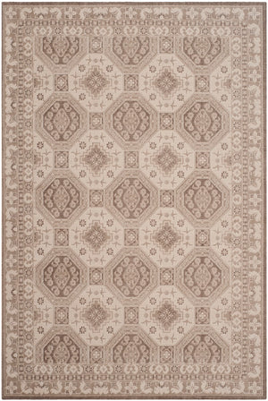 Safavieh Patina PTN320 Power Loomed Rug
