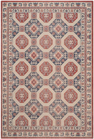 Safavieh Patina PTN320 Power Loomed Rug