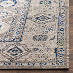 Safavieh Patina PTN322 Power Loomed Rug