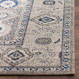 Safavieh Patina PTN322 Power Loomed Rug