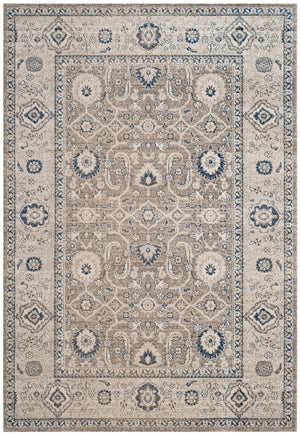 Safavieh Patina PTN322 Power Loomed Rug