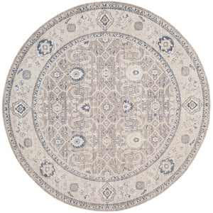 Safavieh Patina PTN322 Power Loomed Rug