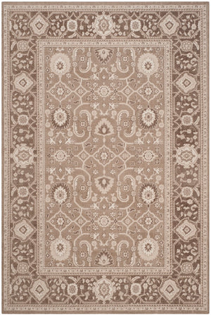 Safavieh Patina PTN322 Power Loomed Rug