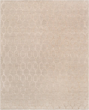 Pasargad Transitiona Allover Transitiona Bamboo Silk & Wool Rug PTX-499 5X8-PASARGAD