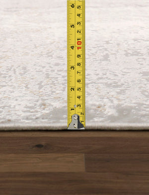 Pasargad Stella Design Power Loom Area Rug pvha-44 5x8-PASARGAD