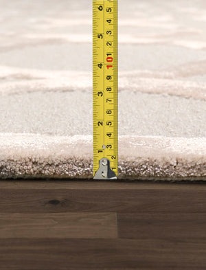 Pasargad Edgy Allover Edgy Bamboo Silk & Wool Rug pvny-18 5x8-PASARGAD