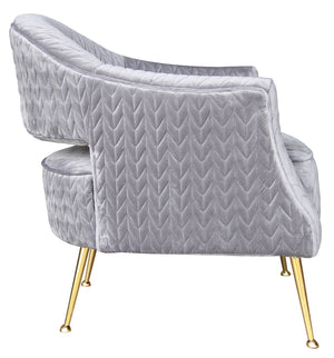Pasargad Noho Collection Lafayette Velvet Accent Chair, Grey PZW-769-PASARGAD