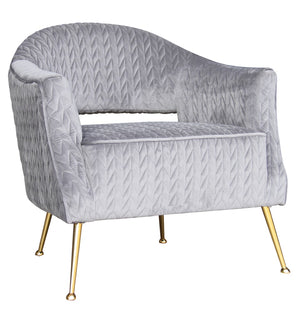 Pasargad Noho Collection Lafayette Velvet Accent Chair, Grey PZW-769-PASARGAD