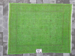 Safavieh QDR679 Rug