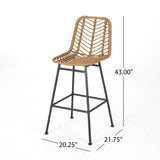Sawtelle Outdoor Wicker Barstools, Light Brown and Black Noble House