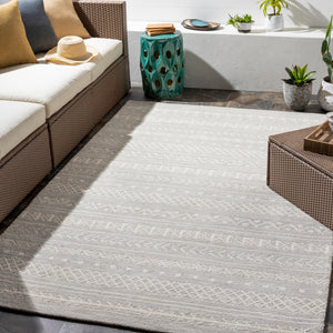 Rain RAI-1288 Global Polypropylene Rug RAI1288-912 Light Gray, Cream 100% Polypropylene 9' x 12'