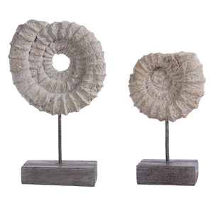 Lena Set of 2 Ammonite Shell Table Decor - Elegant Fossil-Inspired Design for Stylish Interiors