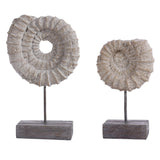Lena Set Of 2 Ammonite Shell Table Decor - Set of 2