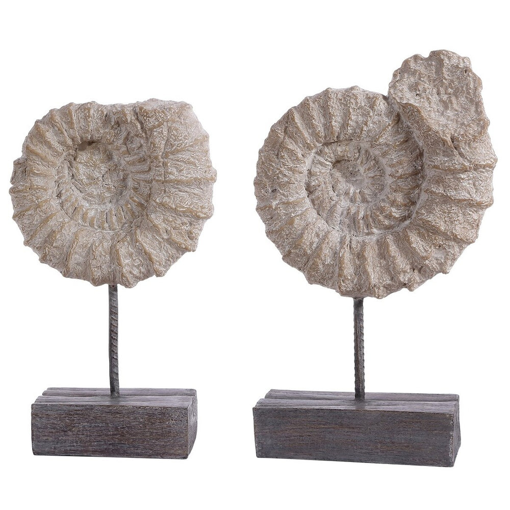 Toren Set of 2 Ammonite Shell Table Decor - Elegant Fossil-Inspired Accent for Your Home Décor