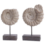 Toren Set Of 2 Ammonite Shell Table Decor - Set of 2