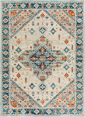 Redondo beach RDD-2300 Traditional Polypropylene Rug RDD2300-912  100% Polypropylene 9' x 12'