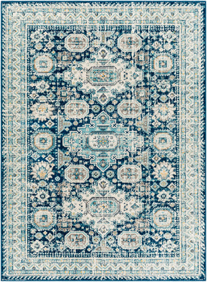 Redondo beach RDD-2310 Traditional Polypropylene Rug RDD2310-912  100% Polypropylene 9' x 12'
