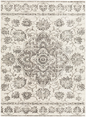 Redondo beach RDD-2313 Traditional Polypropylene Rug RDD2313-912  100% Polypropylene 9' x 12'