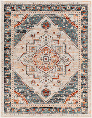 Surya Redondo beach Traditional RDD-2322 Rug RDD2322-71010