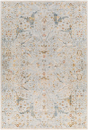 Surya Reina Traditional REN-2301 Rug REN2301-6796