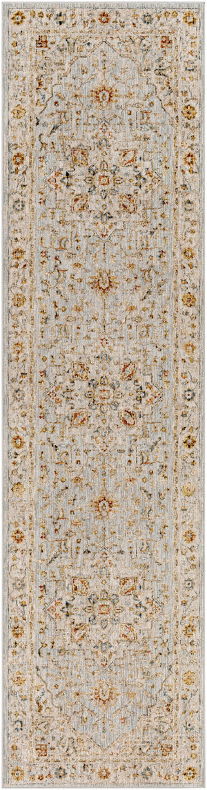 Surya Reina Traditional REN-2304 Rug REN2304-2710
