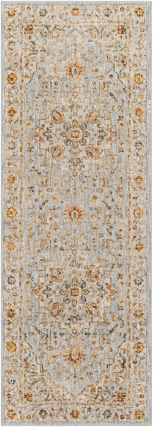 Surya Reina Traditional REN-2304 Rug REN2304-2773