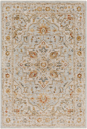 Surya Reina Traditional REN-2304 Rug REN2304-9122