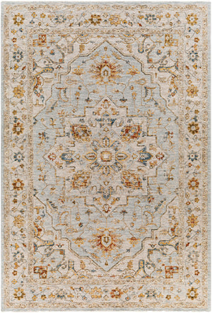 Surya Reina Traditional REN-2304 Rug REN2304-6796