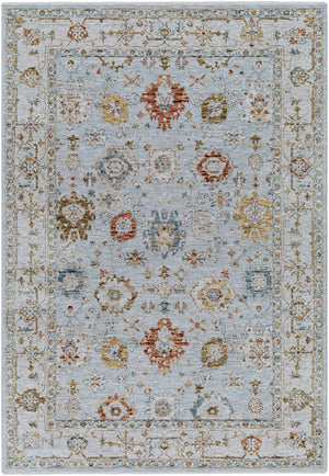 Surya Reina Traditional REN-2306 Rug REN2306-9122
