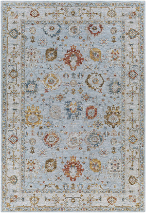 Surya Reina Traditional REN-2306 Rug REN2306-6796