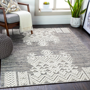 Ariana RIA-2304 Global Polypropylene Rug RIA2304-81012 Medium Gray, Taupe, Charcoal, White 100% Polypropylene 8'10" x 12'