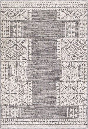 Ariana RIA-2306 Global Polypropylene Rug RIA2306-679 Medium Gray, Taupe, Charcoal, White 100% Polypropylene 6'7" x 9'
