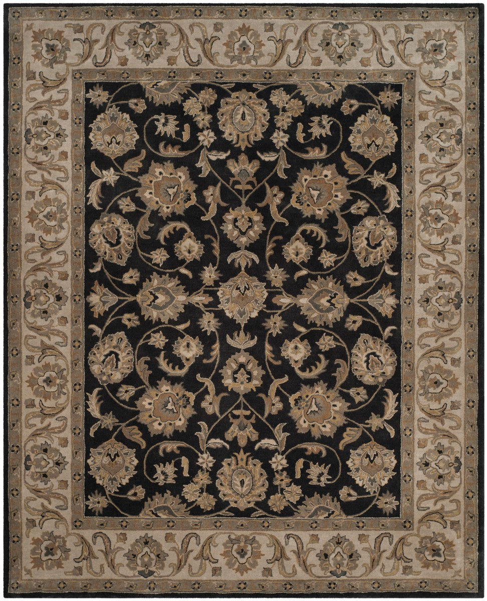 Safavieh Royalty ROY501 Hand Tufted Rug