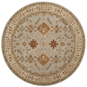 Safavieh Royalty ROY870 Hand Tufted Rug