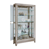 Pulaski Furniture Antique Style 5 Shelf Mirrored Curio Cabinet in Aged Silver 21384-PULASKI 21384-PULASKI