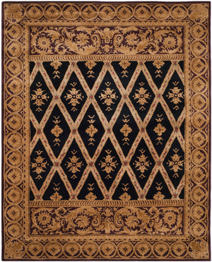 Safavieh RT602 Rug