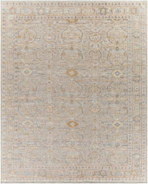 Revere RVE-2308 Traditional Recycled PET Yarn Rug RVE2308-81012 Medium Gray, Light Gray, Camel, Tan, Charcoal, Beige, Cream 100% Recycled PET Yarn 8'10" x 12'