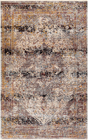 Surya Arya Traditional RYA-2300 Rug RYA2300-8101210