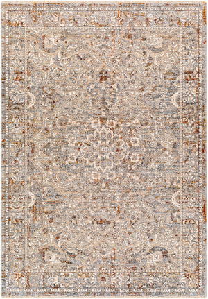 Surya Arya Traditional RYA-2301 Rug RYA2301-8101210