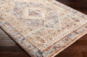 Surya Arya Traditional RYA-2305 Rug RYA2305-8101210