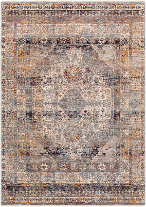 Surya Arya Traditional RYA-2306 Rug RYA2306-8101210