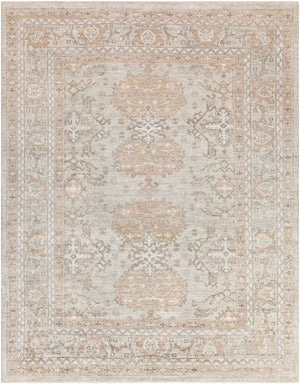 Royal RYL-2302 Traditional Viscose Rug RYL2302-912 Sage, Khaki, Charcoal, Beige 100% Viscose 9' x 12'