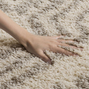 Arizona Power Loomed Area Rug – Luxurious 30mm Pile Height, Durable Polypropylene for Any Space