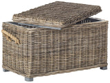 Safavieh Salim Trunk Wicker Natural Rattan NC Coating Kubu SEA7019A 683726777519