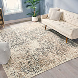 Noble House Althoff 7'10" x 10' Indoor/Outdoor Area Rug, Sand Gray and Ivory